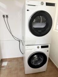 Emerald Garden (D1), Condominium #616520191
